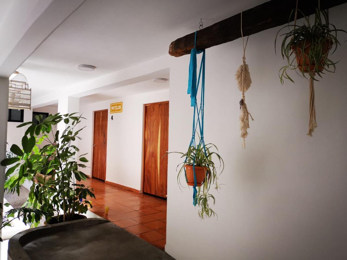 Santa Josefita B&B Cholula Exterior photo